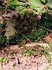 IMG_20200920_145935_01.jpg