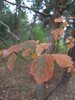 20200923_142557.jpg
