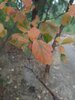 20200923_142546.jpg