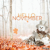 8052260_a231b.gif