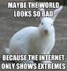 images (11).jpeg