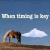 FB_IMG_1604790043307.jpg