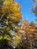20201108_105044.jpg