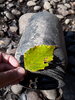 20201108_101812.jpg