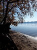 20201108_095441.jpg