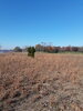 20201108_094226.jpg