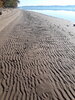 20201108_094456.jpg