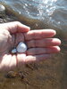 20201108_101439.jpg