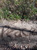 20201108_120321.jpg