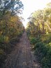 IMG_20201031_154029.jpg