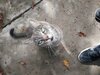 IMG_20170903_154440.jpg