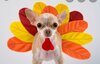 Screenshot_20201126-064755_Chrome.jpg