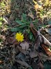 IMG_20201129_152302.jpg