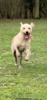 F93CB34E-5186-4EAA-AB9E-6DFBEF782E84.png