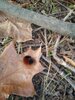 IMG_20201211_144530.jpg