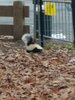 IMG_20201212_125311.jpg