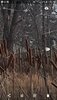 Screenshot_20201213-135654_Photos.jpg