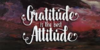 1608078454600.png