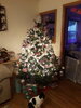20201211_070303.jpg