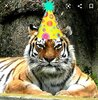 Screenshot_20201220-101958_Chrome.jpg