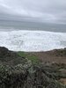263BD659-9491-4037-86EE-43BC79C68D2E.jpeg