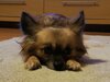 IMG_20210106_170534~2.jpg