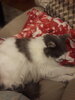20210107_063958.jpg