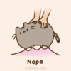208542.gif