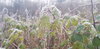 20210115_143126.jpg