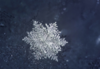 1611402480567.png