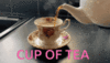 tenor (1).gif