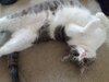 20210103_110858.jpg