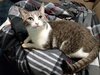 20170823_212449.jpg
