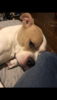 3A1AE368-B9EC-4467-B01B-4646A33A8747.png