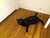 IMG_20180329_170547839.jpg