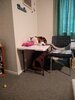 P10225-181340.jpg