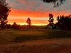 sunrise 2020.jpg