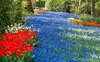 768D6154-5A6F-438D-B818-A69CA3A91EB9.jpeg