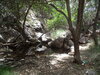 DSC00542.JPG