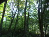 DSC01657.JPG