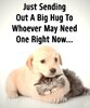 A Hug.jpg