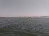 IMG_20210406_120045784.jpg