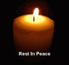 cfaf106e3c378873bf3138cc48eca4d7.gif