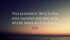 1618035452519.png