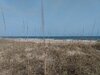 IMG_20210408_170747649.jpg