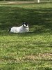 iOS Image - 1339844568.jpg