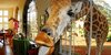 giraffe-hotel.jpg.700x345_q85_box-0,89,700,434_crop_detail.jpg
