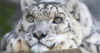 Screenshot_20210412-214353.png