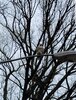 20210429_015256.jpg