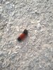 IMG_20201211_143439.jpg